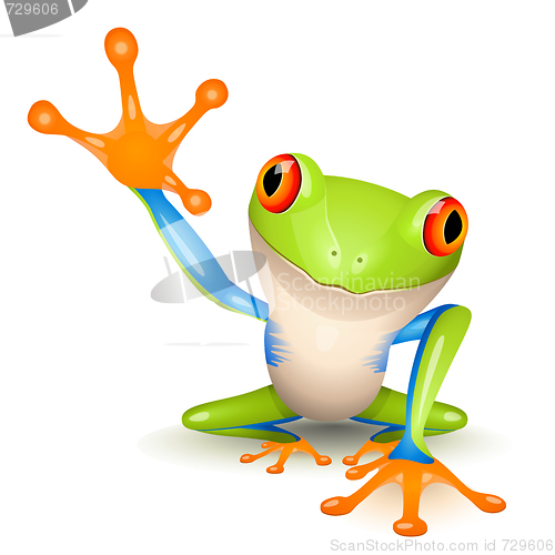 Image of Little tree frog