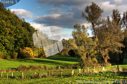 Image of fences and pasture