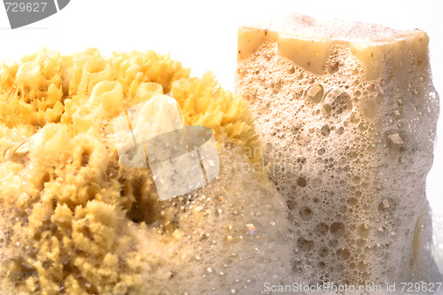 Image of soap and natural sponge