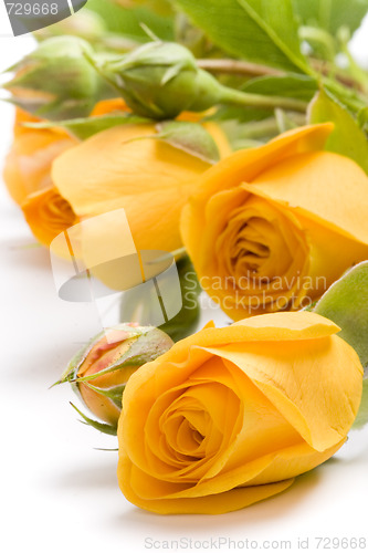 Image of yellow flowers