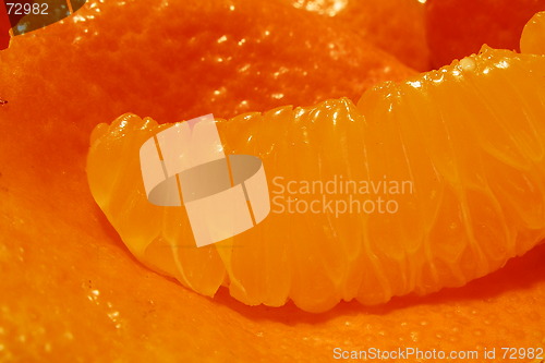Image of orange