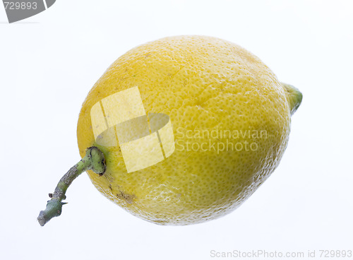 Image of lemon