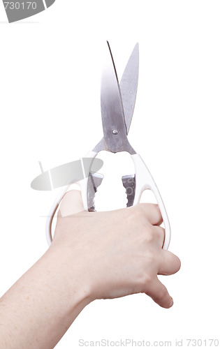 Image of isolated scissors