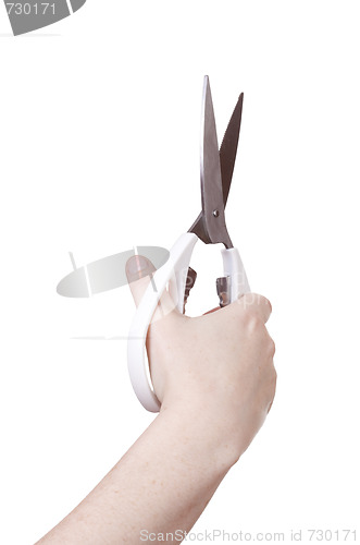 Image of isolated scissors