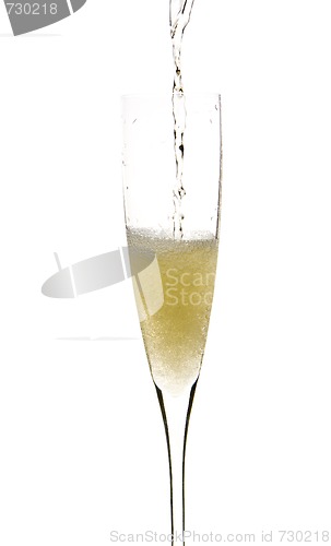 Image of Champagne glass celebration