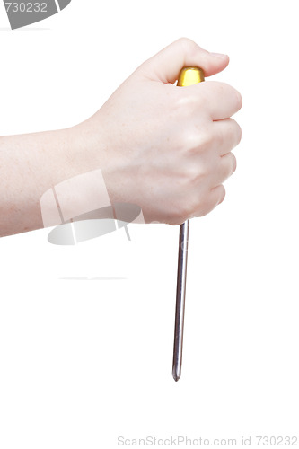 Image of isolated screwdriver