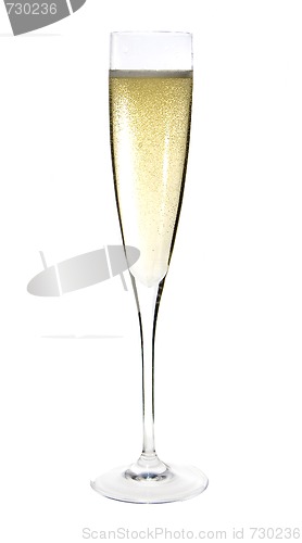 Image of Champagne glass celebration