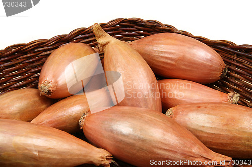 Image of Shallot onions