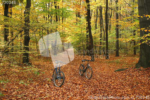 Image of Bicycle trip