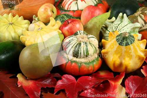 Image of Autumn composition