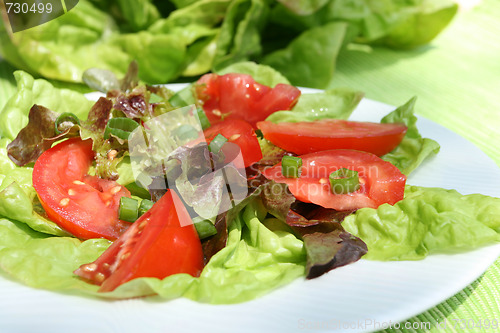 Image of Salad.