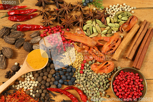 Image of Spices