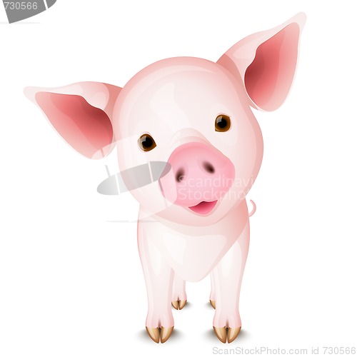 Image of Little pig