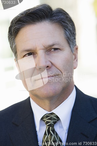 Image of Serious Businessman