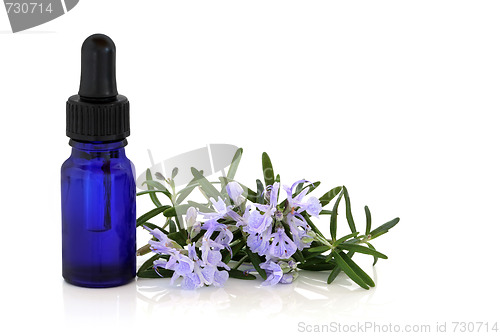 Image of Rosemary Herb Essence and Flowers