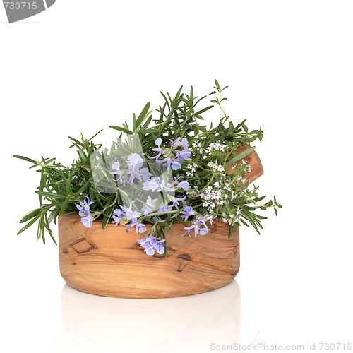 Image of Rosemary and Thyme Herbs