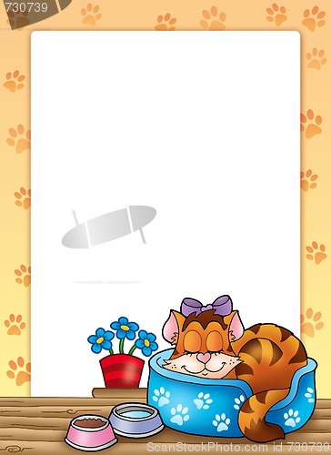 Image of Frame with cute sleeping cat