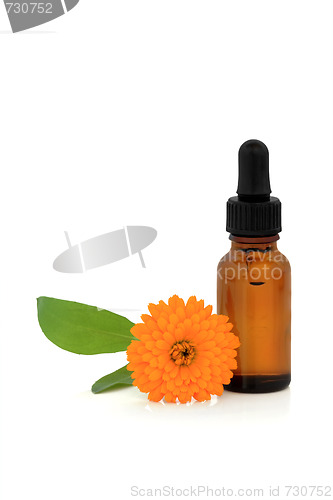 Image of Marigold Essence