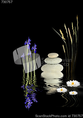 Image of Zen Garden Fantasy