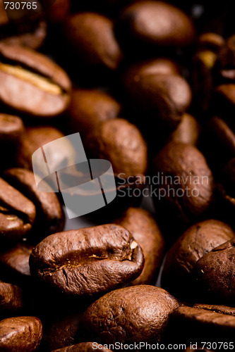 Image of coffee beans