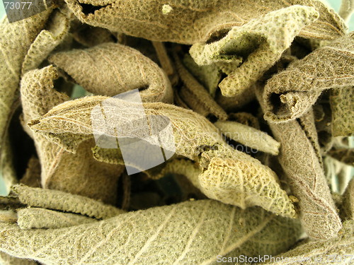 Image of herb tea