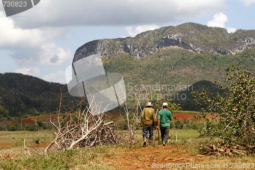 Image of Two farmers walking in a Vinales countryside in Cuba