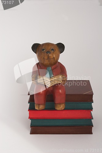 Image of Bookworm bear