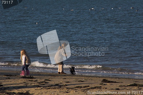 Image of Children playing on beach with puppy dog 1
