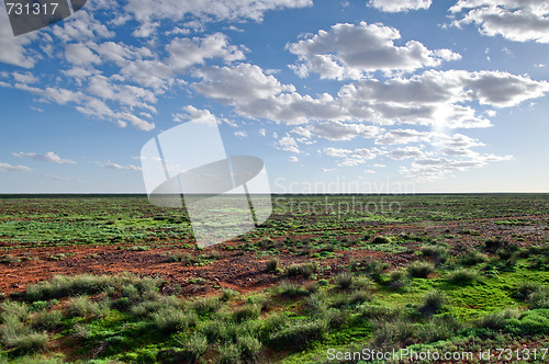 Image of desert after rain