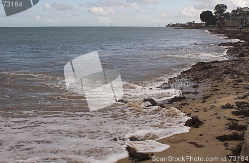 Image of Shoreline with beach,seaweed & pebbles