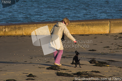 Image of Woman playing with puppy on beach