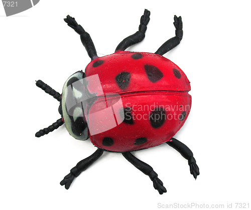Image of Toy Ladybird