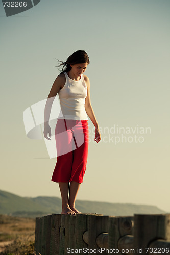 Image of Walking on a wood fence