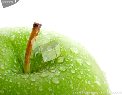 Image of Fresh Apple