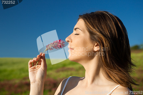 Image of Nature fragrance