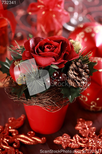 Image of Christmas rose