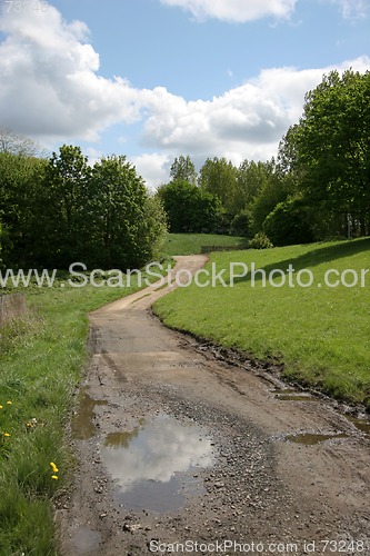 Image of Path Through a Meadow