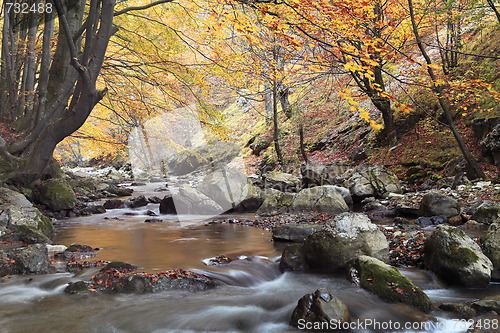 Image of Autumn river