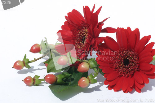 Image of Bouquet flowers