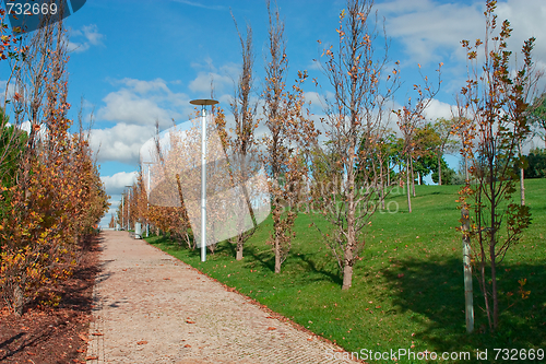 Image of path through the landscaped park