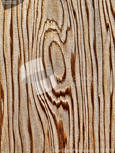 Image of Wood pattern