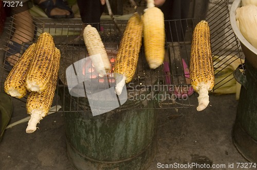 Image of Corn