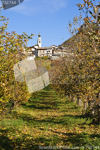 Image of Path leading to the village