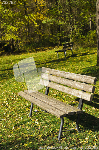 Image of Empty park bench