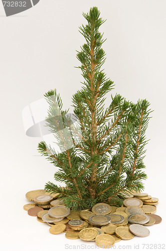 Image of Christmastree in coins
