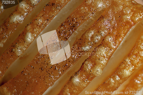 Image of Macro closeup of roast pork crackling
