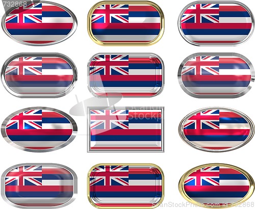 Image of 12 buttons of the Flag of Hawaii