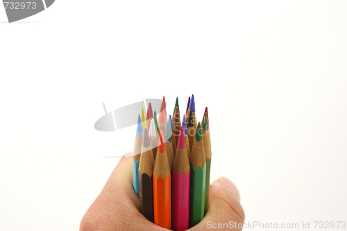 Image of Hold a dozen color pencils 
