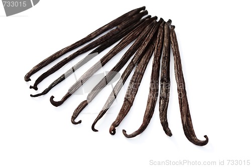 Image of Vanilla Beans