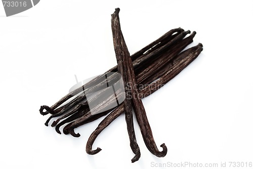 Image of Vanilla Beans